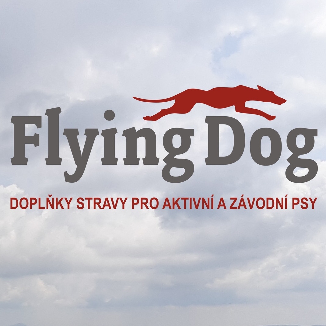 Flying Dog